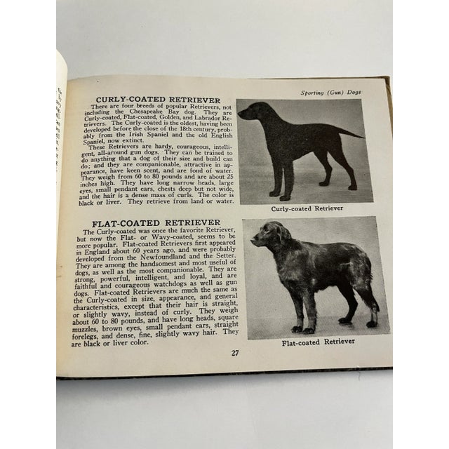1930s 1934 the Book of Dogs For Sale - Image 5 of 12