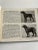 1930s 1934 the Book of Dogs For Sale - Image 5 of 12