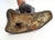 Candlestick Pair - Large Antique Hand Painted Bronze Frogs For Sale - Image 17 of 18