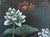 1970s Chinoiserie Painted Silk Screen "Hummingbirds and Lotus" For Sale - Image 4 of 18