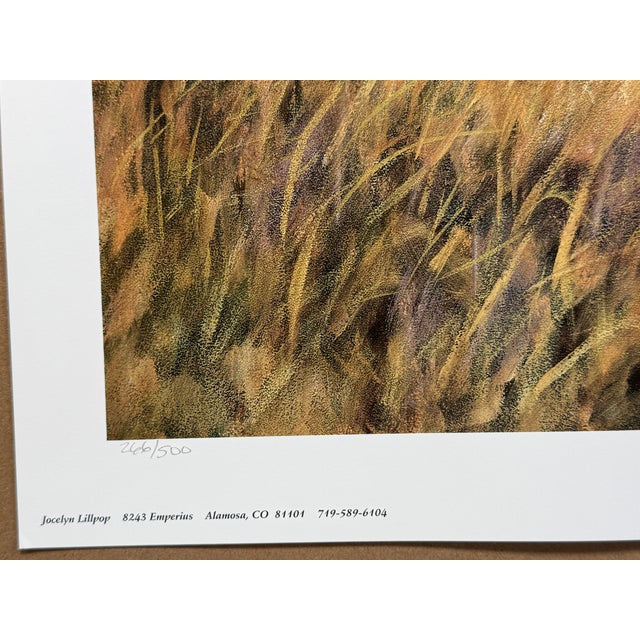 Brown 1990s Jocelyn Lillpop Russell Boundary Line Bison Buffalo Yellowstone National Park Signed Numbered American Print For Sale - Image 8 of 11