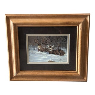 1990s Framed Mule Deer Print Hayden Lambson For Sale