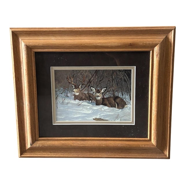 1990s Framed Mule Deer Print Hayden Lambson For Sale