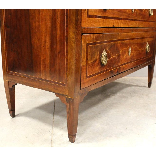 18th Century Italian Louis XVI Walnut Chest of Drawers For Sale - Image 9 of 17