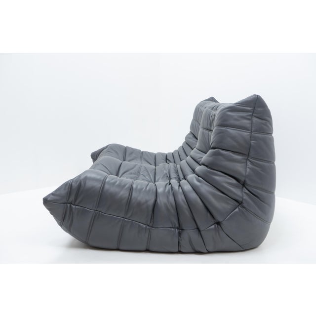 Animal Skin Togo Set in Grey Leather by Michel Ducaroy for Ligne Roset, 1990s, Set of 2 For Sale - Image 7 of 15