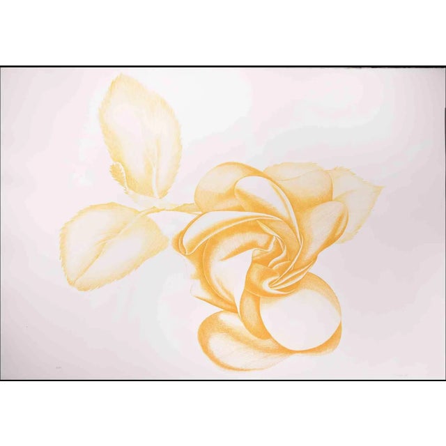 Yellow Rose is an original modern artwork realized by the Italian artist Giacomo Porzano (1925-2006) in 1972. Mixed...