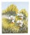 Costanza Mantovani, Farmers Engaged in Harvesting, 2000s, Oil on Canvas For Sale