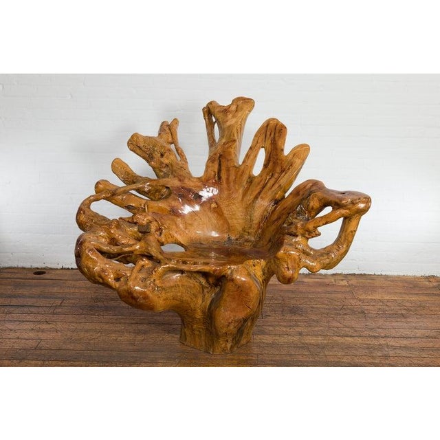 A vintage Chinese hand-crafted camphor wood root chair from the 20th century, with light varnished patina and unusual...