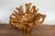 A vintage Chinese hand-crafted camphor wood root chair from the 20th century, with light varnished patina and unusual...
