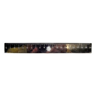 Twenty-Centimeter Silver Scale Ruler For Sale