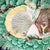 Rustic European Antique Wedgwood "Waves and Shells" Majolica Oval Platter For Sale - Image 3 of 13