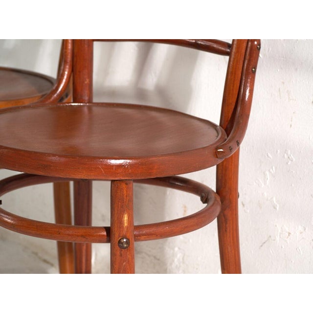 Bentwood Chairs in the style of Thonet, Central Europe, 1930, Set of 4 For Sale - Image 11 of 17