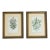 Pair of Antique Hand Colored English Botanical Etchings Gold Ornate Frame Reproduction For Sale