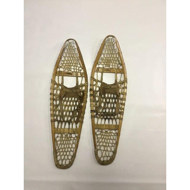 Snow Shoes 1960s Cabin Décor Bear Paws D- a Pair For Sale - Image 10 of 10