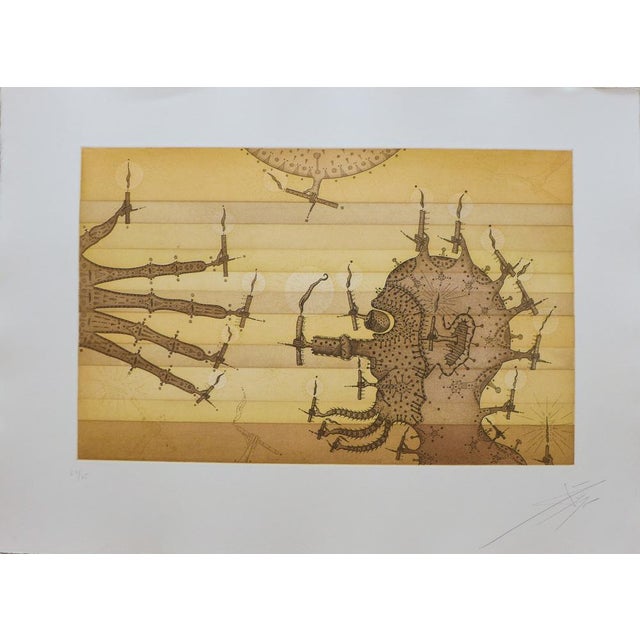 Joan Ponc, Il Luminat, 1973, Lithograph For Sale - Image 4 of 4