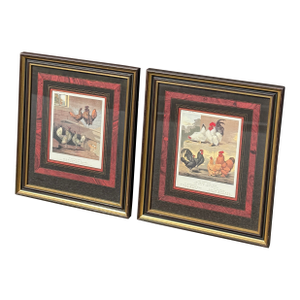 Vintage Ethan Allen Bantam Chicken Lithographs From Cassell's Poultry Book - A Pair