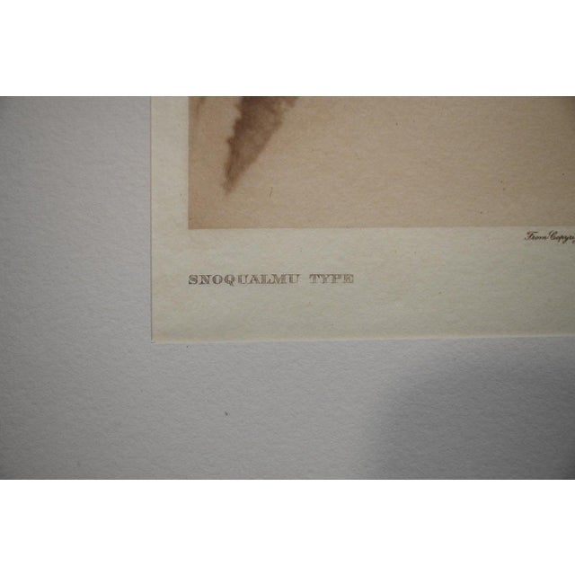 Edward S. Curtis "Snoqualmu Type" Photogravure on Gampi Tissue, 1913 — Cardozo Collection For Sale - Image 4 of 7
