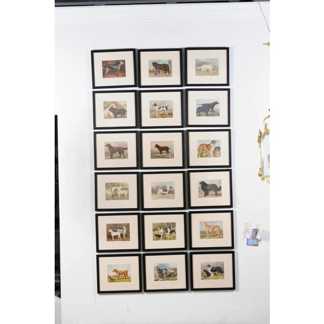 Single Print - Cassell, Petter, Galpin & Co Chromolithograph Dog Print in Black Frame For Sale - Image 10 of 12