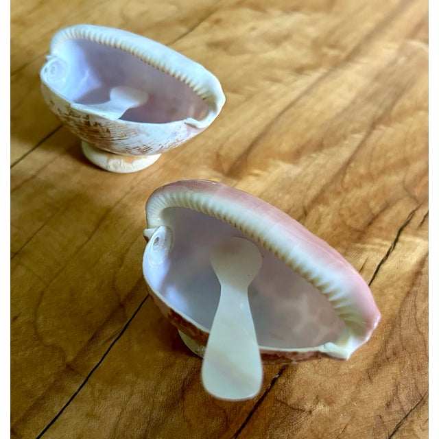 Cream 1990s Natural Shell and Mother of Pearl Caviar Dishes- Set of 2 For Sale - Image 8 of 11