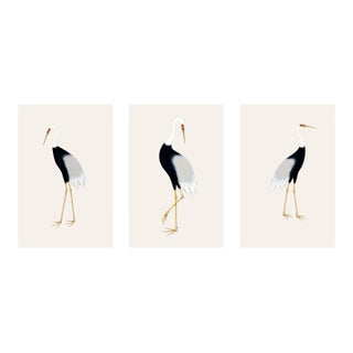 Japanese Crane Triptych, Set of 3 Art Prints, 20" X 30" For Sale