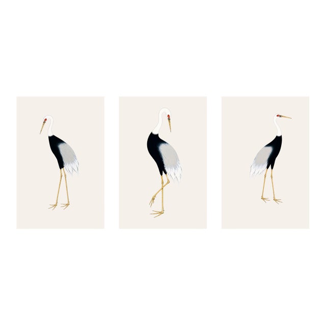 Japanese Crane Triptych, Set of 3 Art Prints, 20" X 30" For Sale