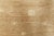 Modern Art Nouveau-Inspired Abstract Tan With Beige Rug "Vinedrift" For Sale - Image 4 of 9