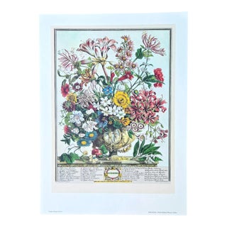 1970s Vintage Robert Furber October Botanical From "Twelve Months of Flowers” Pierpont Morgan Library Print For Sale