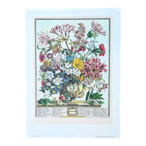 1970s Vintage Robert Furber October Botanical From "Twelve Months of Flowers” Pierpont Morgan Library Print