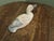 French Brutalist Duck, 1960s For Sale - Image 4 of 8
