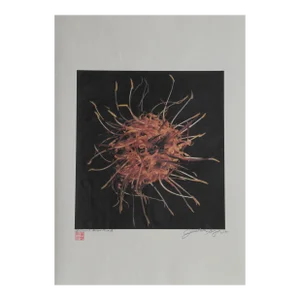 Static Ball, Jonathan Singer