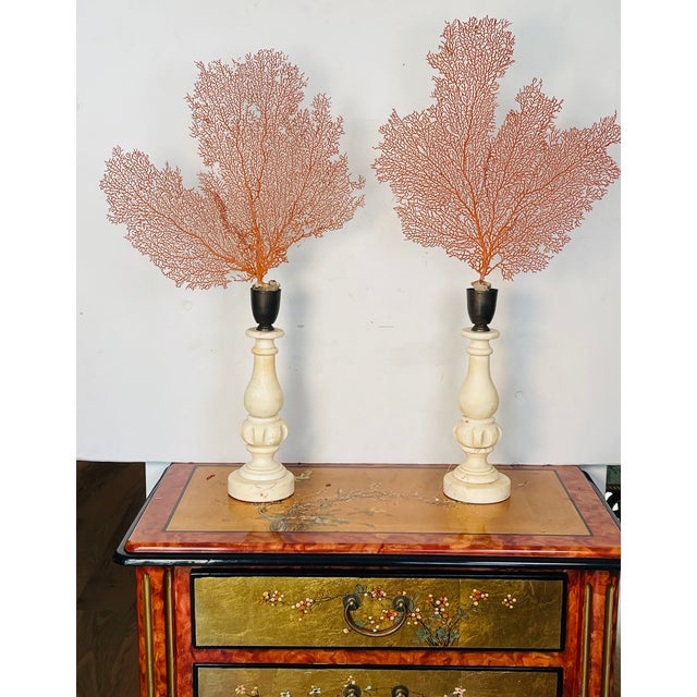 1970s Organic Modern Pair of Sea Whip Branches on Alabaster Bases For Sale - Image 5 of 9