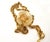 Chanel Chanel Vintage Gold Plated CC Bag Tortoise Motif Large Ball Pendant Necklace For Sale - Image 4 of 7