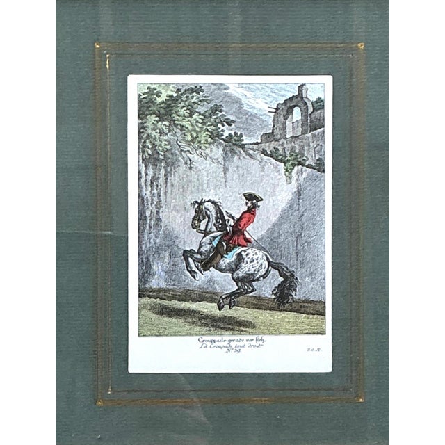 Wood Vintage Equestrian Engravings in Gilt Frames - Set of 6 For Sale - Image 7 of 13