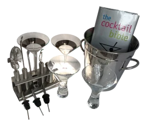 Vintage Martini Mixing Set With Cocktail Book, Tools, 4 Glasses, Ice Bucket and 3 Pour Spouts - Set of 15