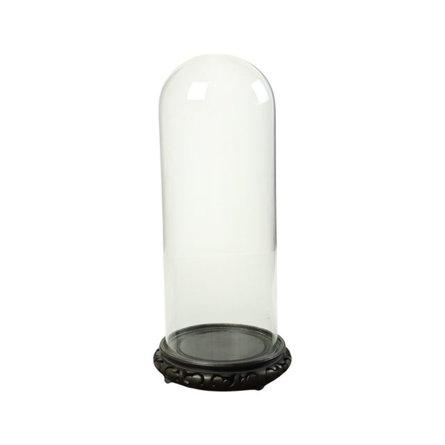 Large Antique Mouth-Blown Glass Dome on Asian Wooden Base, 1890s For Sale - Image 5 of 11