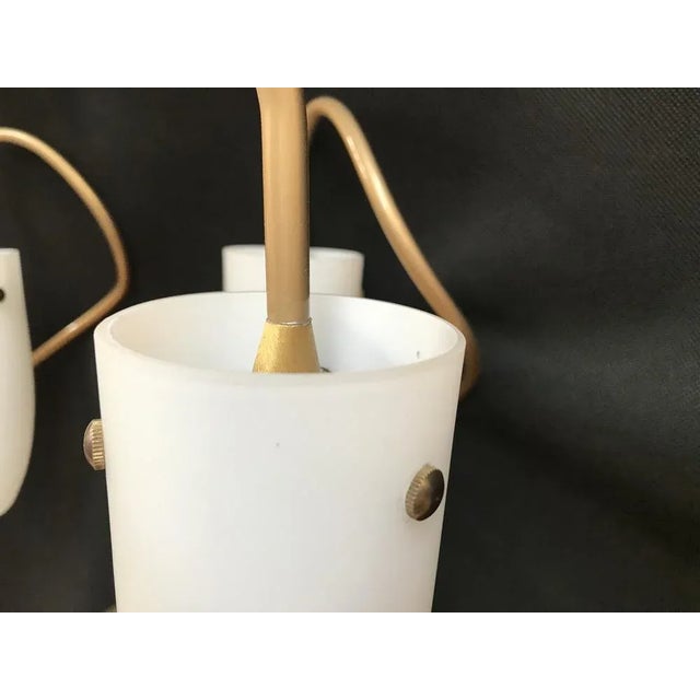 Fancy Metal Chandelier with Glass Shades by Volta For Sale - Image 9 of 12