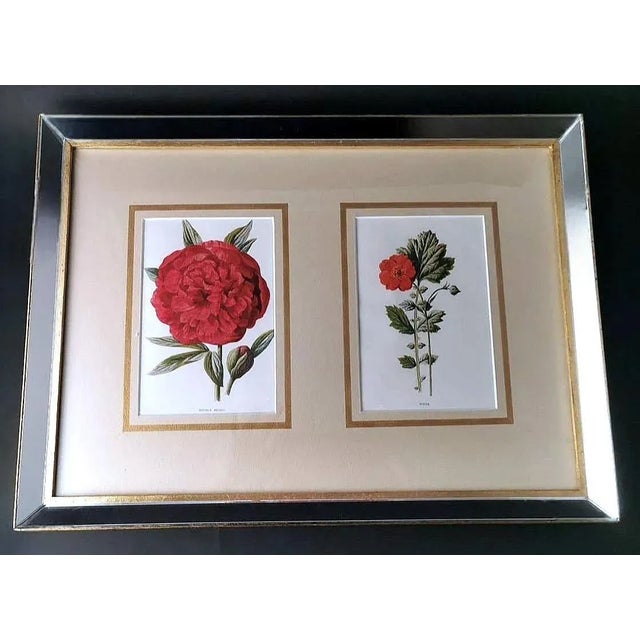 The frame that encloses the two prints is very special and unusual; it was made in recent times by an old Master...