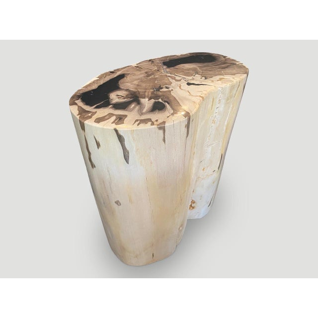 Andrianna Shamaris High Quality Exquisite Petrified Wood Side Table For Sale - Image 18 of 18