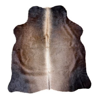 Small Natural Brazilian Cowhide For Sale