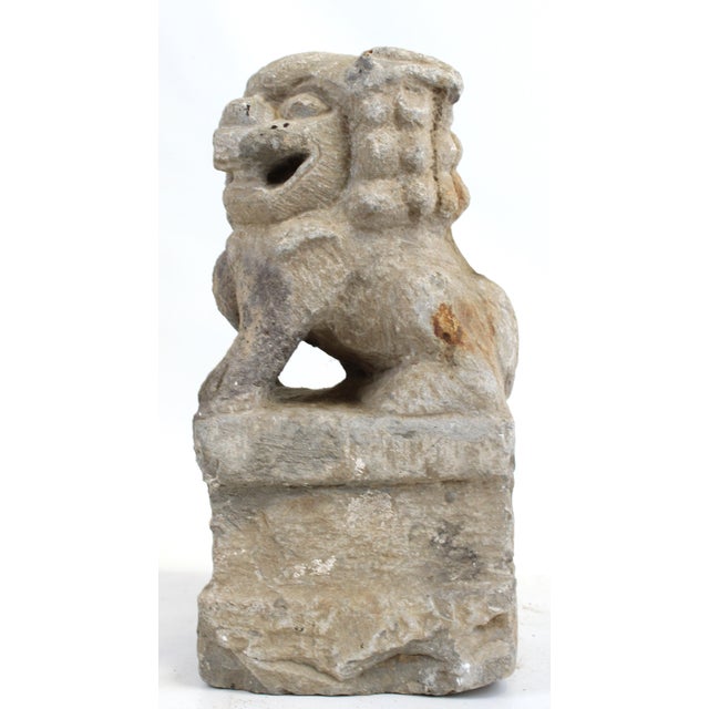 Foo Dog Statue For Sale - Image 6 of 13