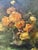 1930s A. Pricelius, Floral Still Life of Roses in Glass Vase, 1930s, Oil Painting For Sale - Image 5 of 10
