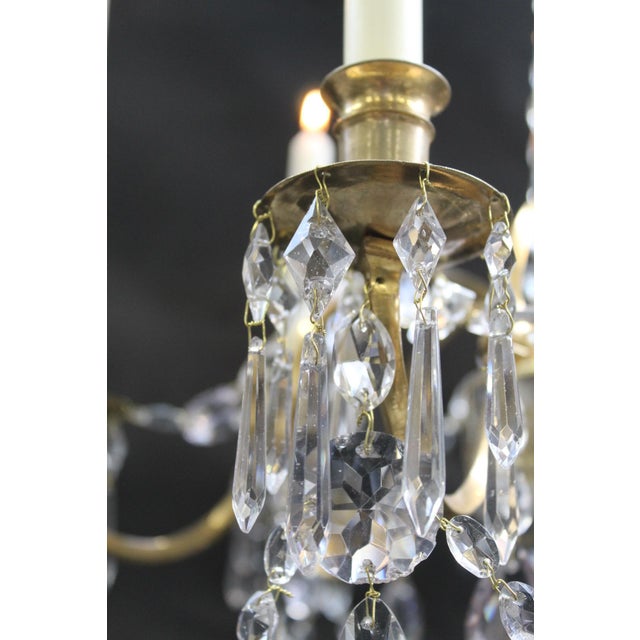 Neoclassical Chandelier in Bronze and Crystal For Sale - Image 17 of 18