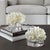 2020s White Coral on Lucite Base For Sale - Image 5 of 6