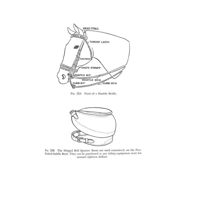 "America's Riding Horses a Guide to All Breeds for the Amateur" 1958 Orcutt, Capt. Harry P., Orcutt, Ben Avis For Sale - Image 9 of 12