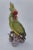 1970s Porcelain Cockatoo by Andrea For Sale - Image 11 of 12