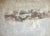 Pierre Marie Brisson, Composition, 1980, Carborundum Engraving For Sale - Image 7 of 7