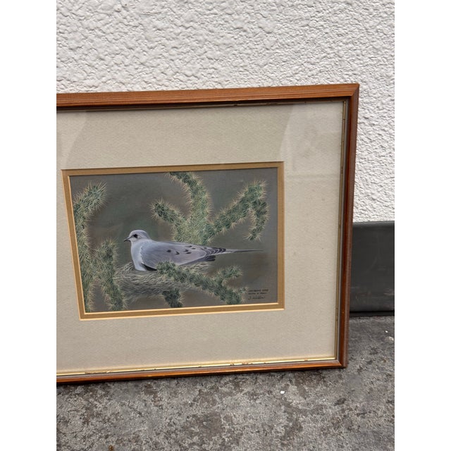 Signed S. Wicklund “Mourning Dove Nesting in Cholla” Framed Original Bird Illustration For Sale - Image 11 of 12