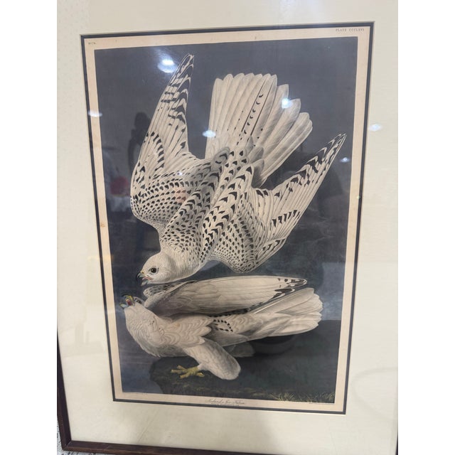 Late 19th Century John James Audubon Robert Havell Iceland or Ier Falcon 1836 Framed Print Reproduction For Sale - Image 4 of 6