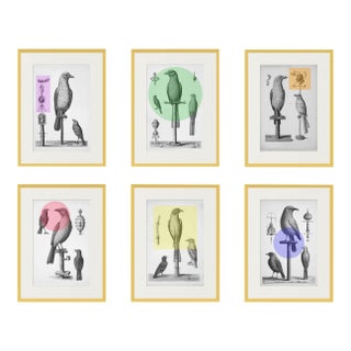 # Set of 6 - W 42" X H 36" High-End Framed Prints Installation - Vintage Bird Watercolors With Color Accents For Sale