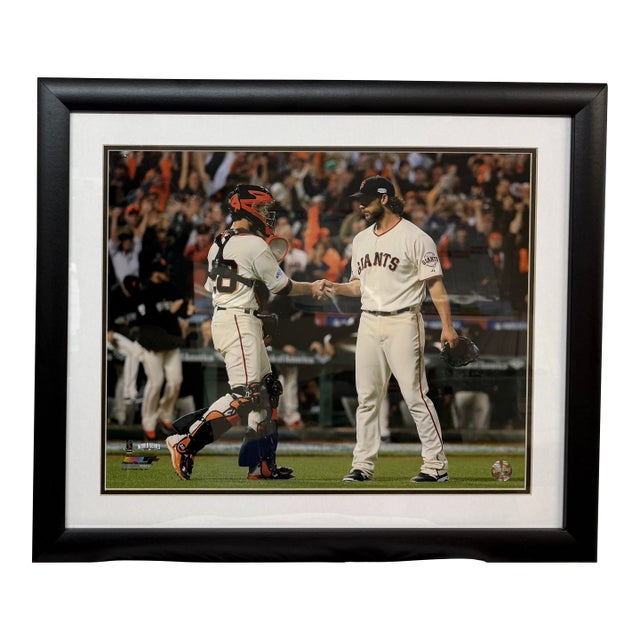 MLB World Series Matt Cain's Perfect Day Photograph Print, Framed For Sale